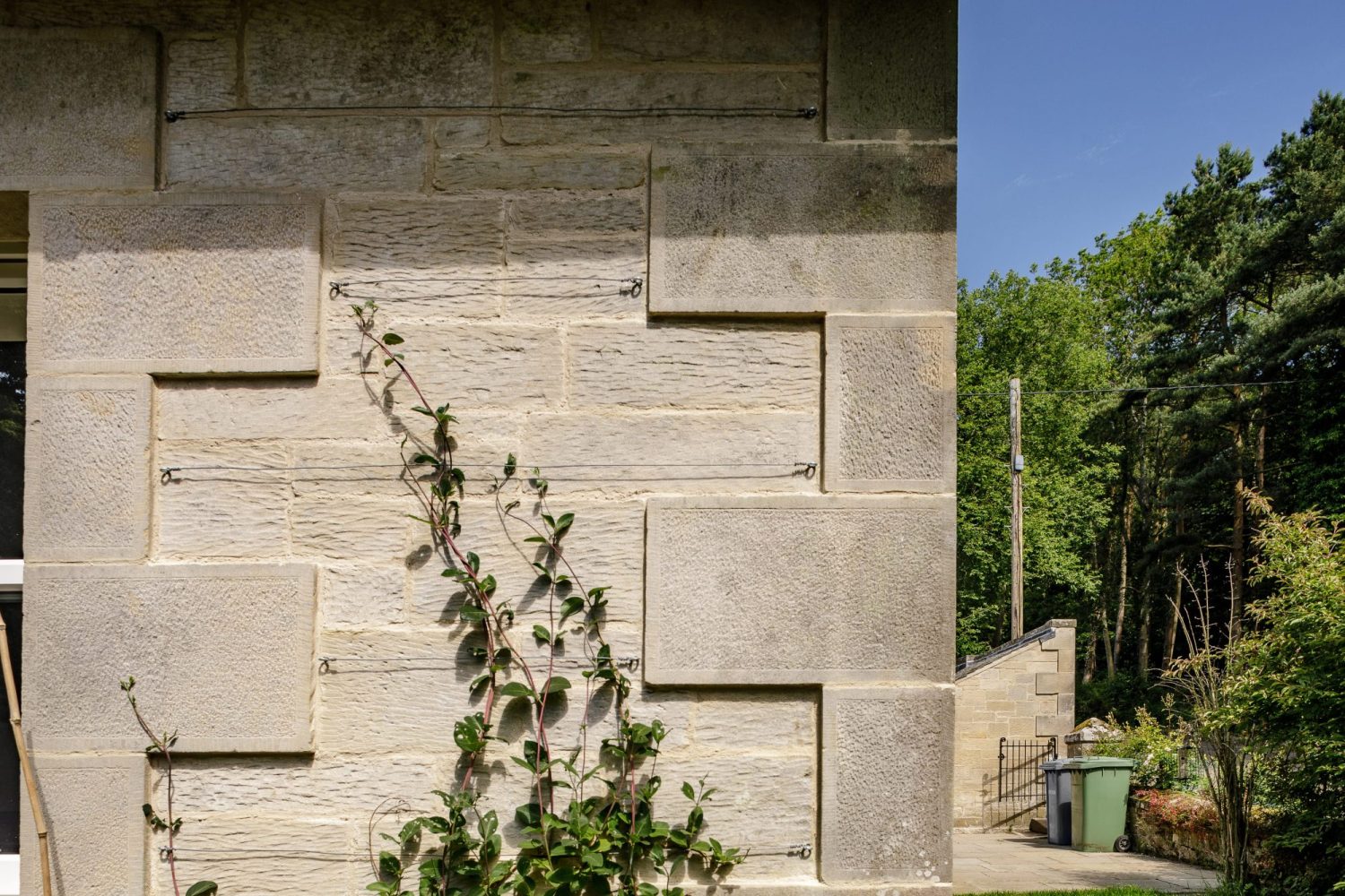 Close up exterior stone wall with plant growing up and trees in background
