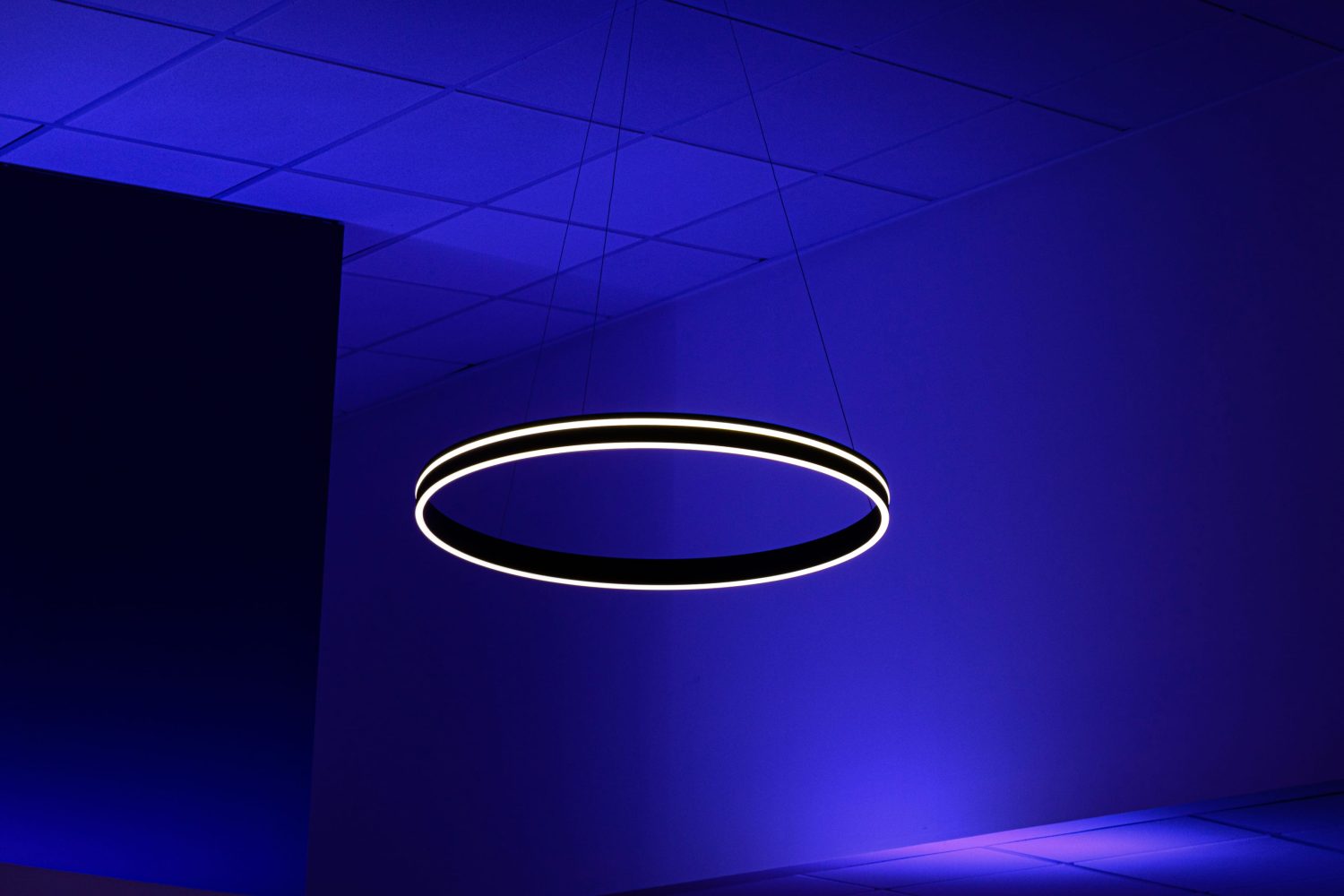 Circular pendant light with two strips of light going around hanging from ceiling